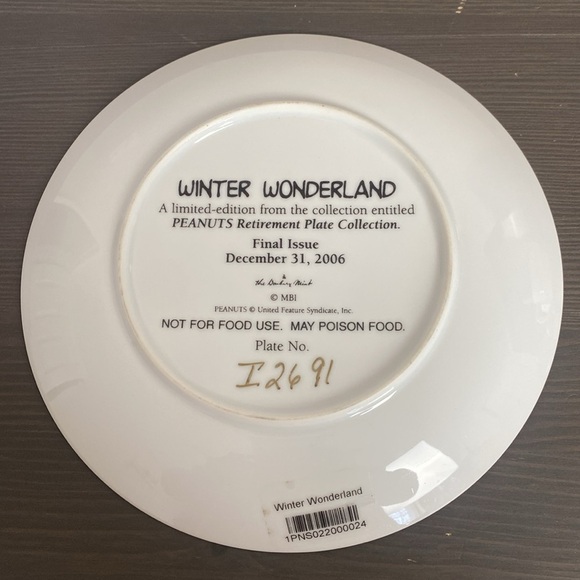 Peanuts Magical Moments Danbury Mint Winter Wonderland Plate 8" Retired 2006 - Picture 3 of 6